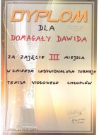 Dyplom Domagała Filip 001